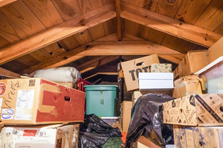 The Hidden Dangers Inside a Hoarder’s Home: Unveiling the Health and Safety Hazards Behind the Clutter